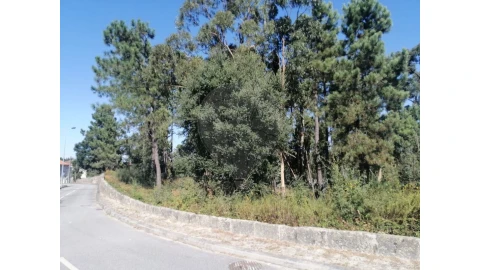 Terreno para Venda em Aguas Santas