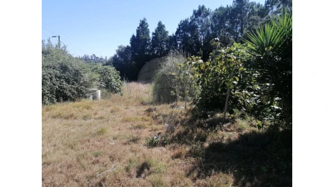 Terreno para Venda em Aguas Santas