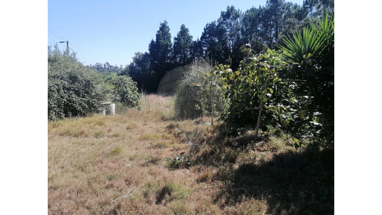 Terreno para Venda em Aguas Santas Foto 14