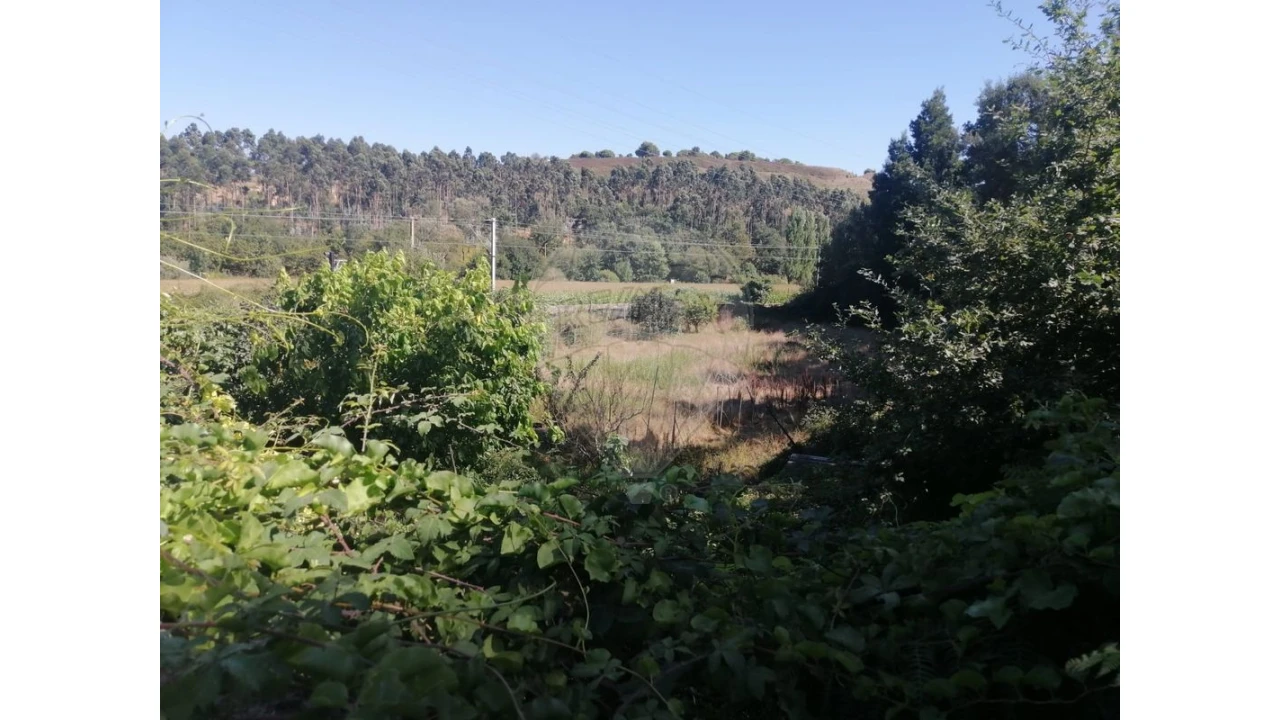 Terreno para Venda em Aguas Santas Foto 15