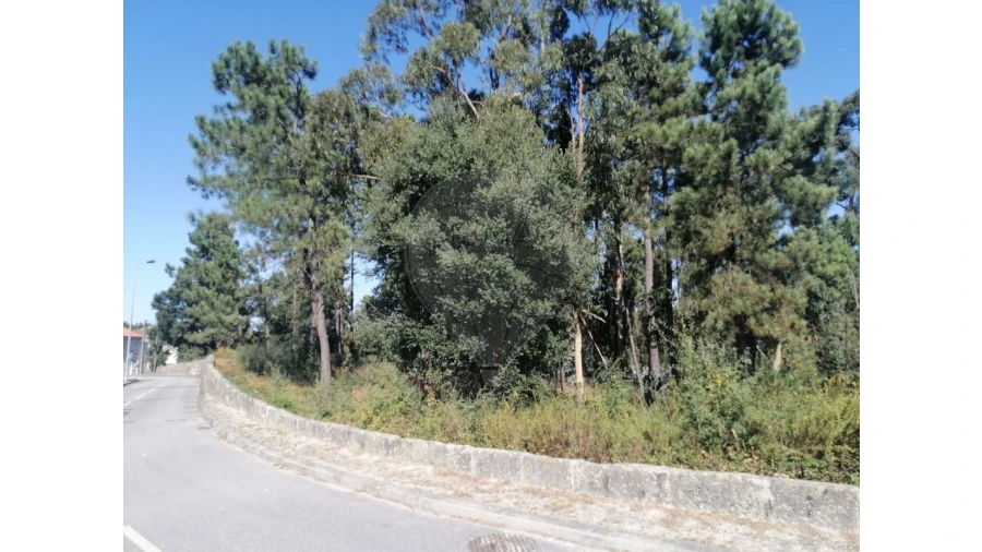 Terreno para Venda em Aguas Santas Foto 8