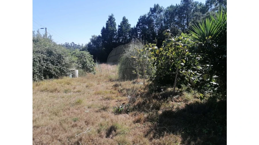 Terreno para Venda em Aguas Santas Foto 14
