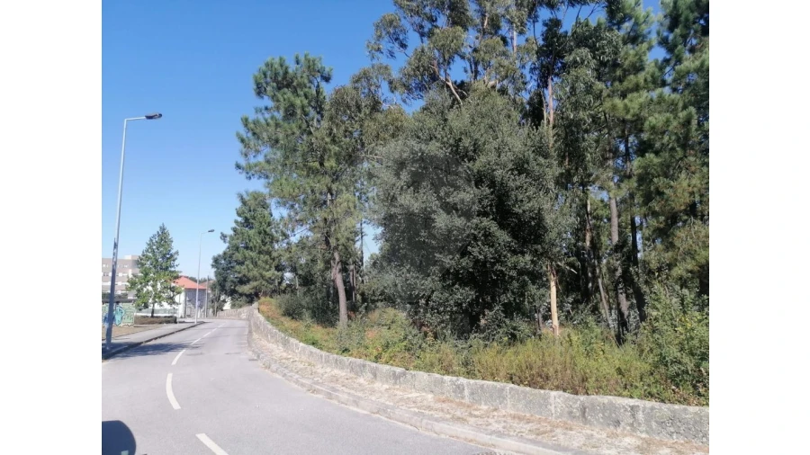 Terreno para Venda em Aguas Santas Foto 9