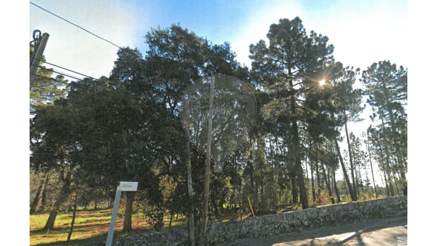 Terreno para Venda em Aguas Santas Foto 3