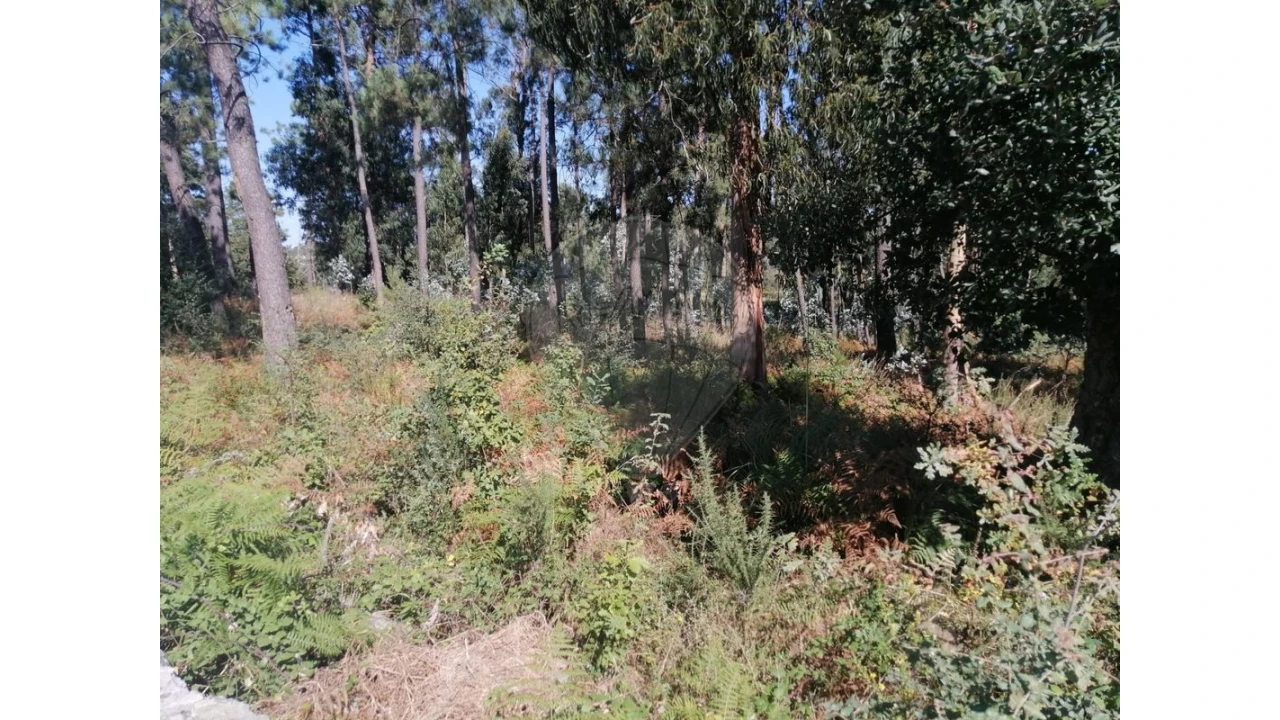 Terreno para Venda em Aguas Santas Foto 13