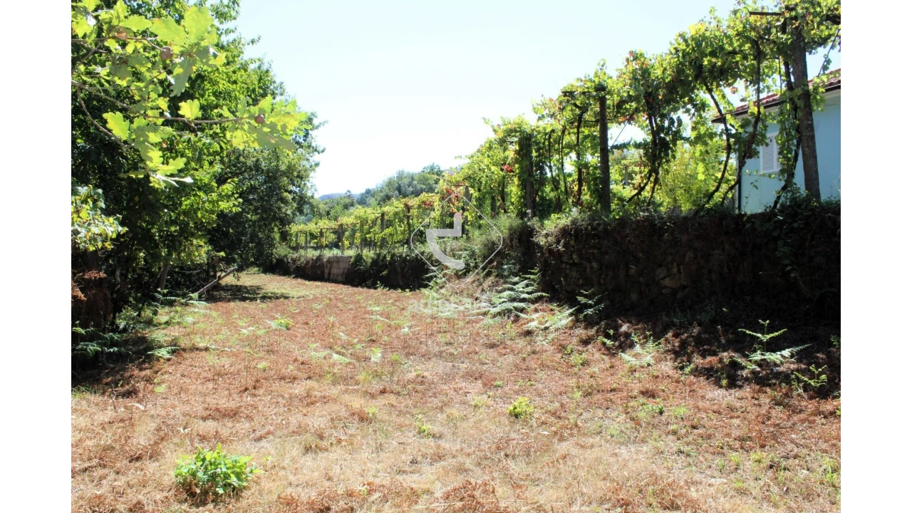 Terreno para Venda em Vila Chã (São João Baptista e Santiago) Foto 7
