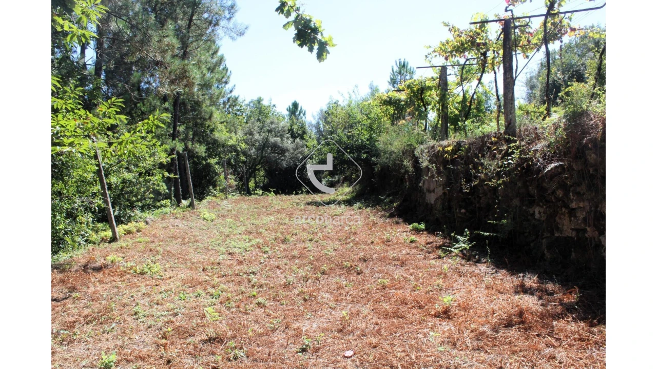 Terreno para Venda em Vila Chã (São João Baptista e Santiago) Foto 2