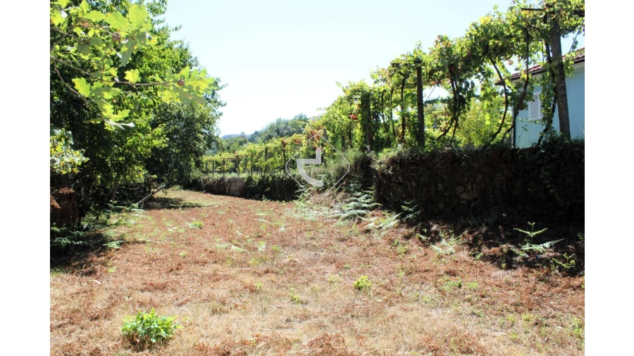 Terreno para Venda em Vila Chã (São João Baptista e Santiago) Foto 7