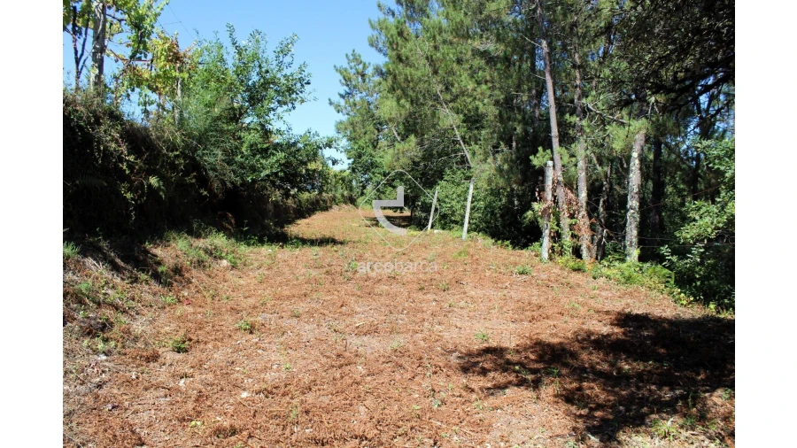 Terreno para Venda em Vila Chã (São João Baptista e Santiago) Foto 3
