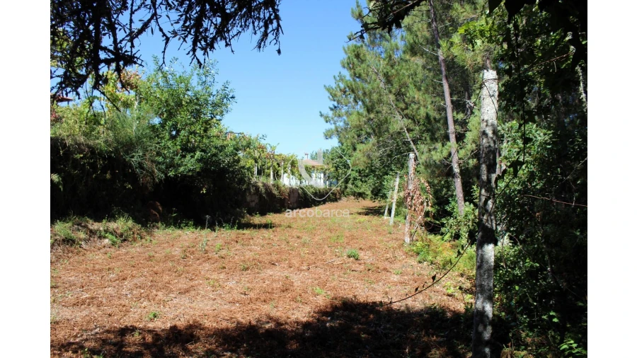 Terreno para Venda em Vila Chã (São João Baptista e Santiago) Foto 5