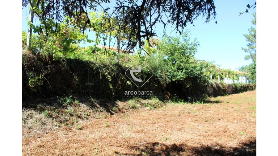 Terreno para Venda em Vila Chã (São João Baptista e Santiago) Foto 6
