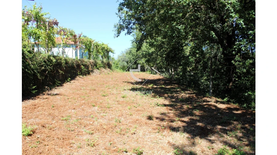 Terreno para Venda em Vila Chã (São João Baptista e Santiago)