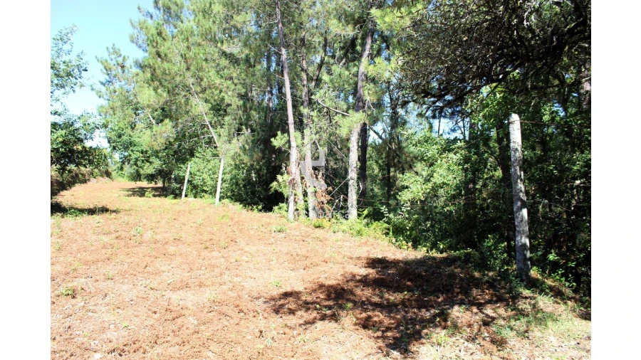 Terreno para Venda em Vila Chã (São João Baptista e Santiago) Foto 4