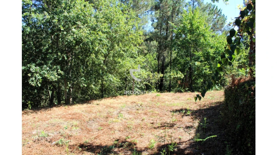 Terreno para Venda em Vila Chã (São João Baptista e Santiago) Foto 9