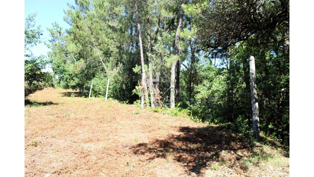 Terreno para Venda em Vila Chã (São João Baptista e Santiago) Foto 4