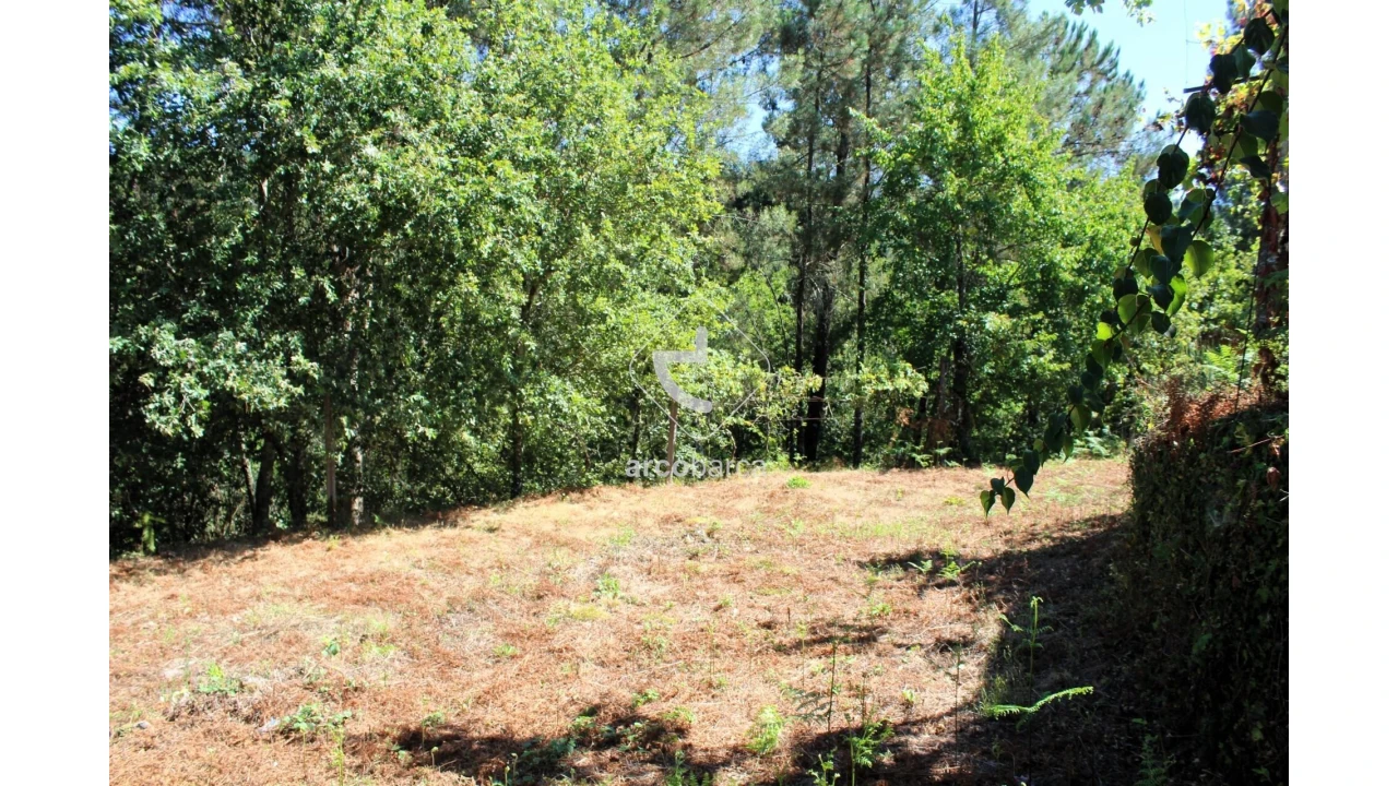Terreno para Venda em Vila Chã (São João Baptista e Santiago) Foto 9
