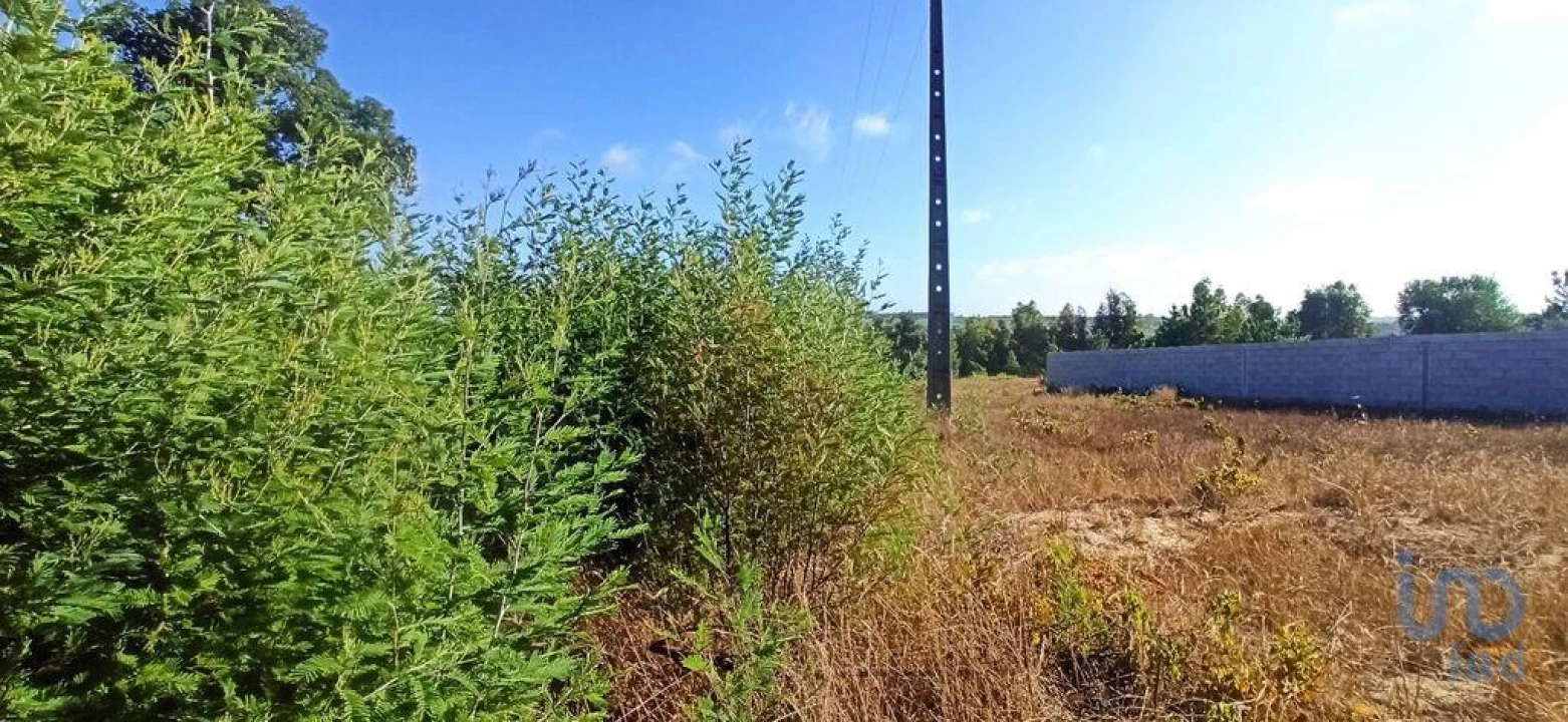 Terreno para Venda em Coruche, Fajarda e Erra Foto 2