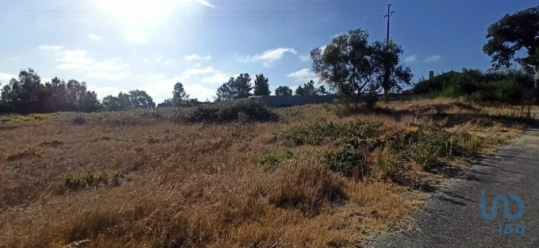Terreno para Venda em Coruche, Fajarda e Erra Foto 4