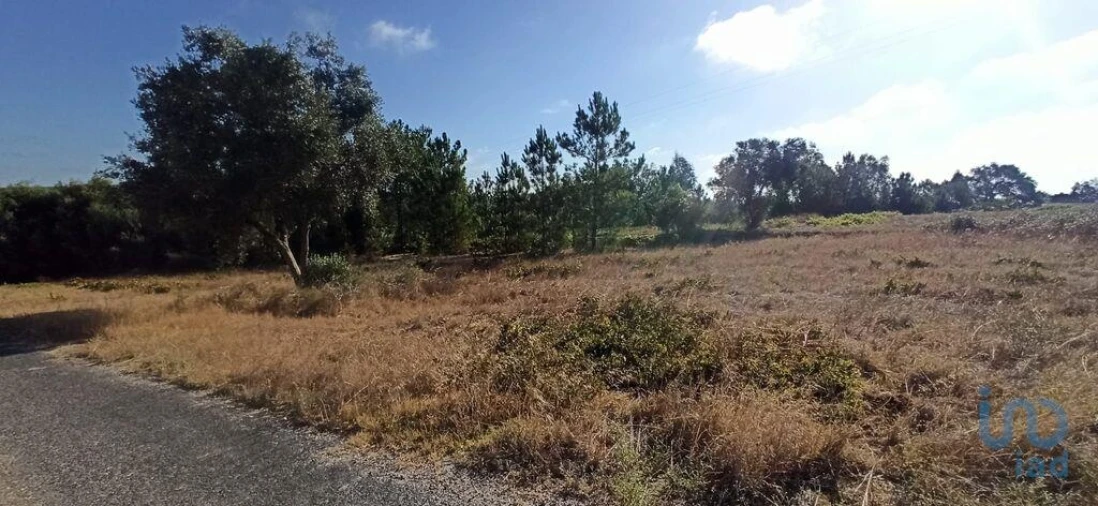 Terreno para Venda em Coruche, Fajarda e Erra Foto 6