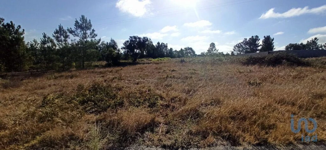 Terreno para Venda em Coruche, Fajarda e Erra Foto 5