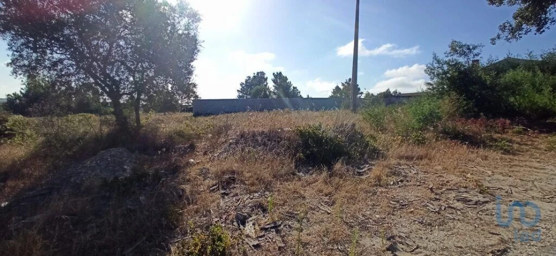 Terreno para Venda em Coruche, Fajarda e Erra Foto 7