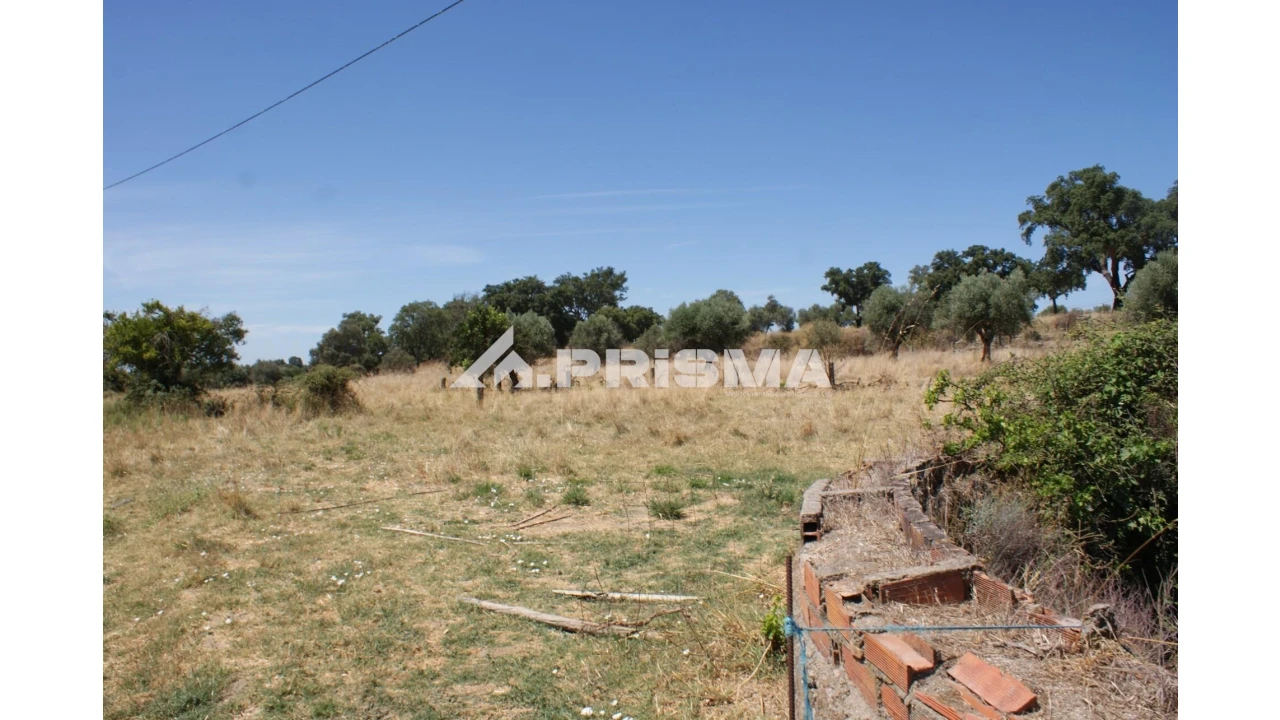 Quinta T6 para Venda em Escalos de Baixo e Mata Foto 74