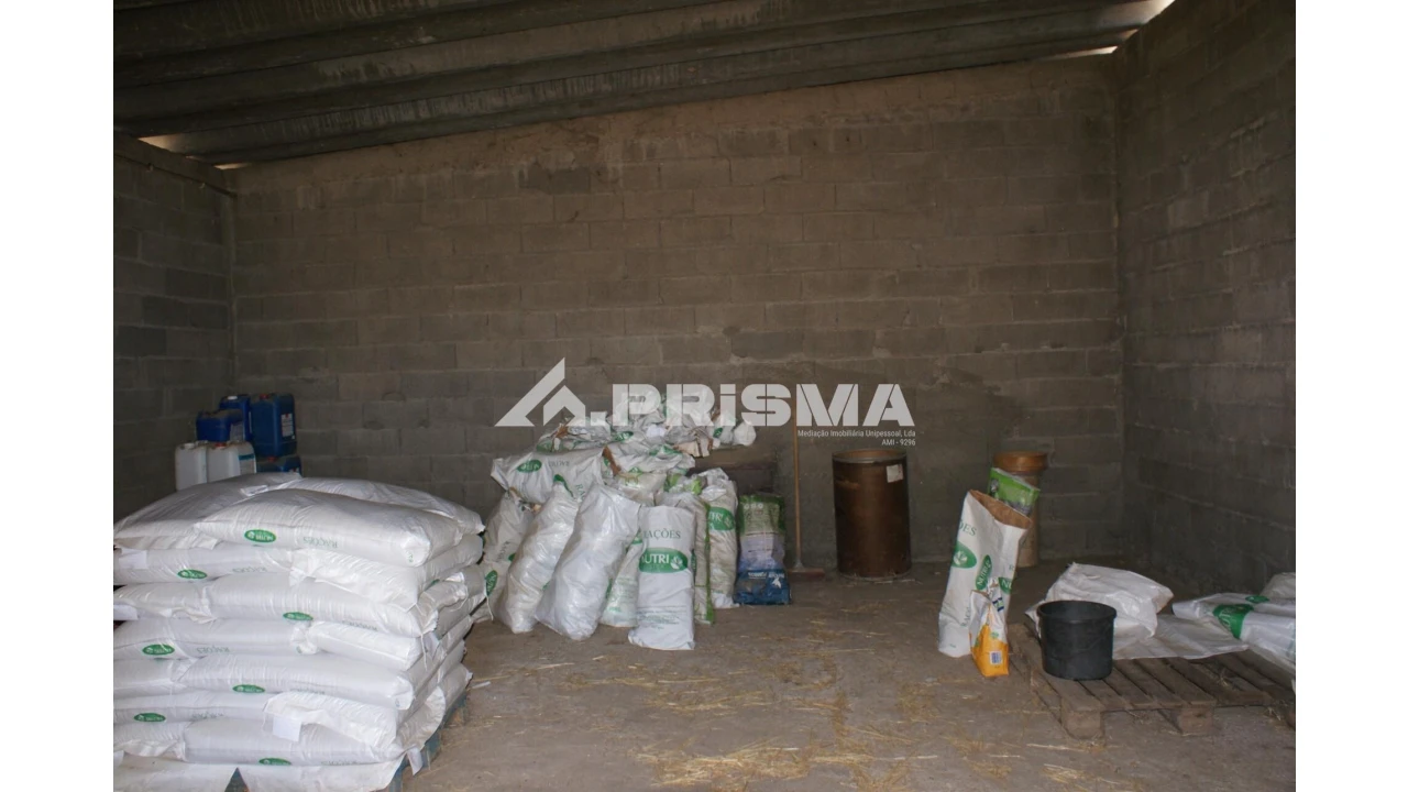 Quinta T6 para Venda em Escalos de Baixo e Mata Foto 34