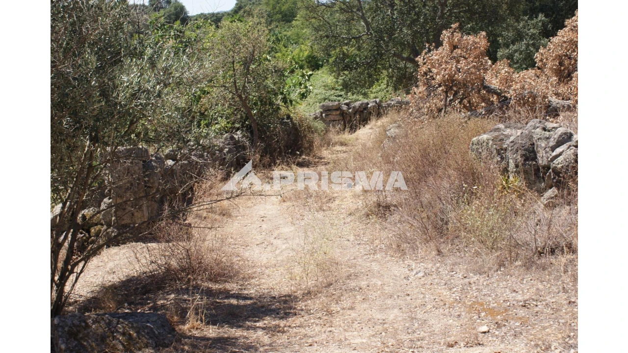 Quinta T6 para Venda em Escalos de Baixo e Mata Foto 77