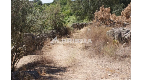 Quinta T6 para Venda em Escalos de Baixo e Mata