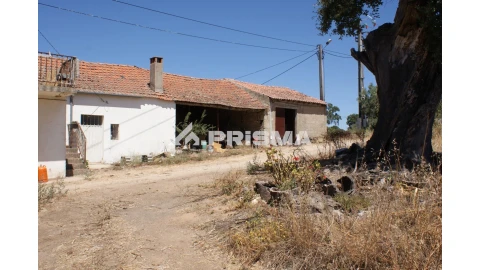 Quinta T6 para Venda em Escalos de Baixo e Mata