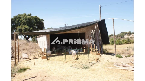 Quinta T6 para Venda em Escalos de Baixo e Mata