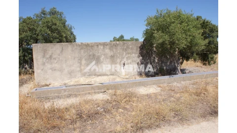 Quinta T6 para Venda em Escalos de Baixo e Mata