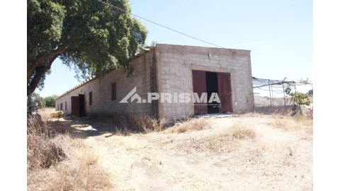 Quinta T6 para Venda em Escalos de Baixo e Mata