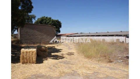 Quinta T6 para Venda em Escalos de Baixo e Mata