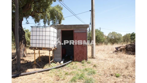 Quinta T6 para Venda em Escalos de Baixo e Mata