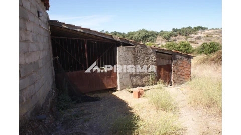 Quinta T6 para Venda em Escalos de Baixo e Mata