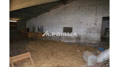 Quinta T6 para Venda em Escalos de Baixo e Mata