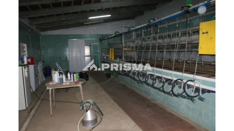 Quinta T6 para Venda em Escalos de Baixo e Mata