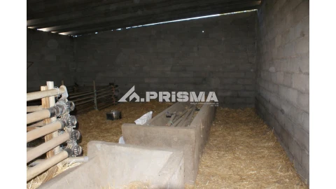 Quinta T6 para Venda em Escalos de Baixo e Mata