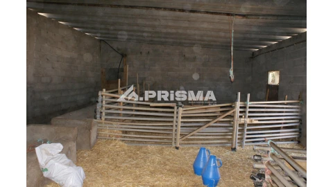 Quinta T6 para Venda em Escalos de Baixo e Mata
