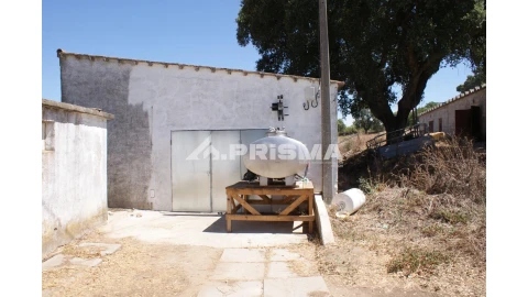 Quinta T6 para Venda em Escalos de Baixo e Mata