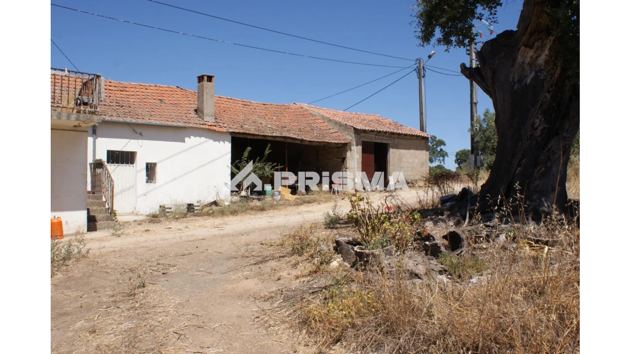Quinta T6 para Venda em Escalos de Baixo e Mata Foto 87