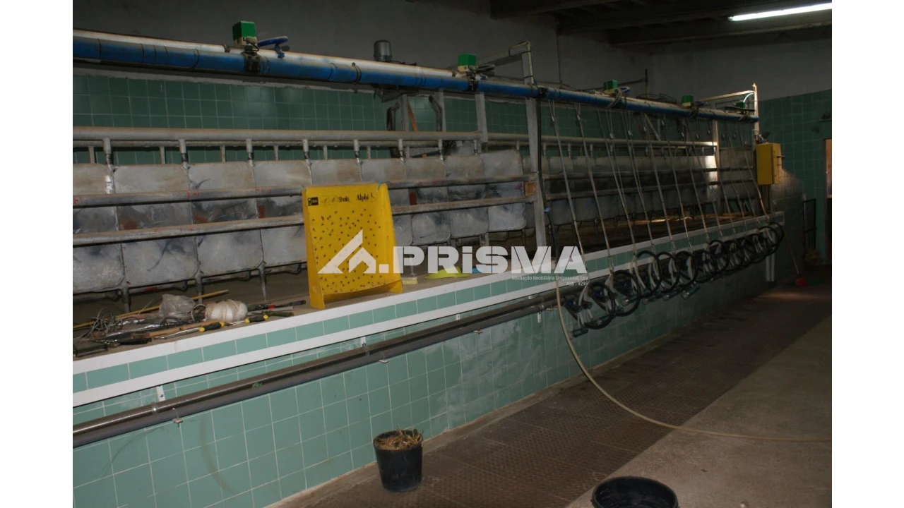 Quinta T6 para Venda em Escalos de Baixo e Mata Foto 32