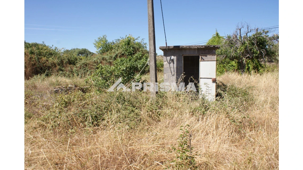 Quinta T6 para Venda em Escalos de Baixo e Mata Foto 63