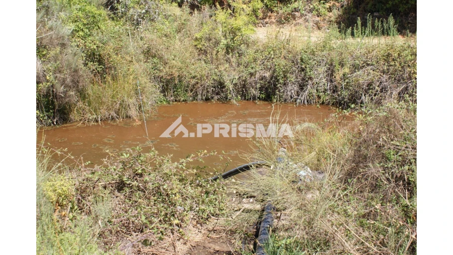 Quinta T6 para Venda em Escalos de Baixo e Mata Foto 44