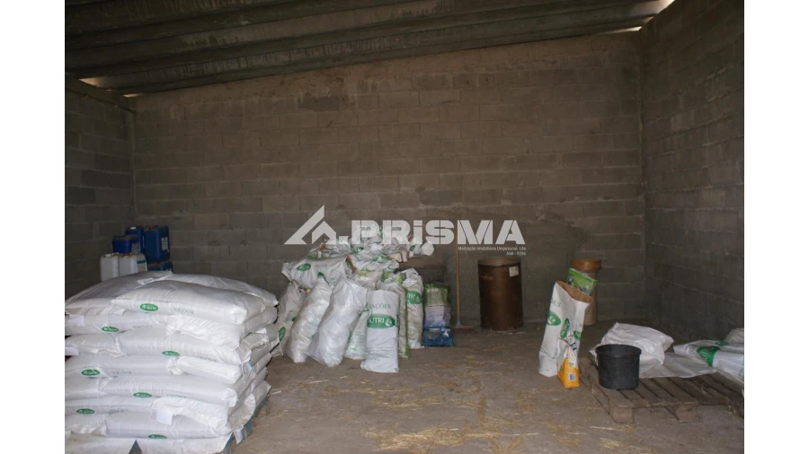 Quinta T6 para Venda em Escalos de Baixo e Mata Foto 34