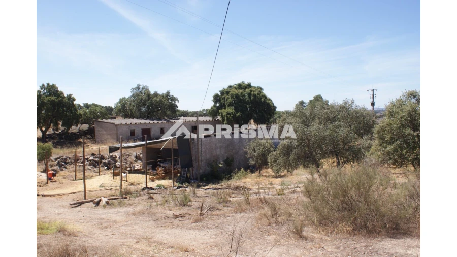 Quinta T6 para Venda em Escalos de Baixo e Mata Foto 61