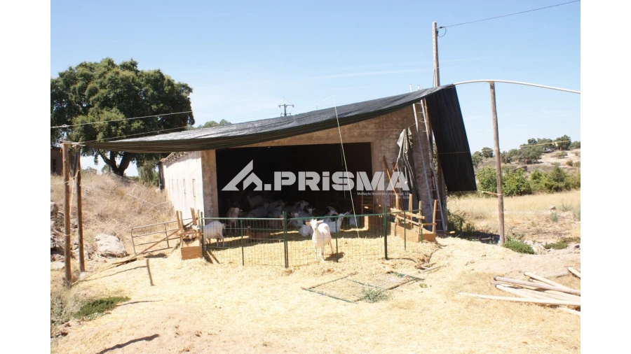 Quinta T6 para Venda em Escalos de Baixo e Mata Foto 59