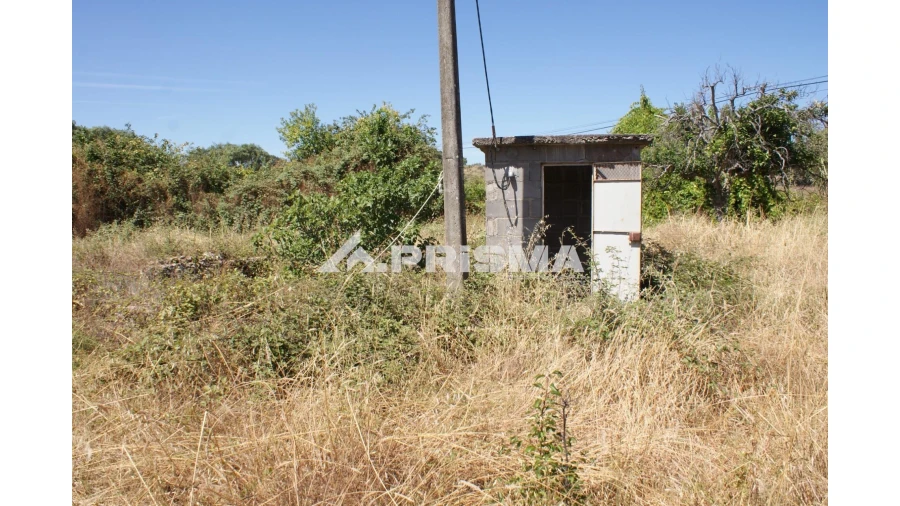 Quinta T6 para Venda em Escalos de Baixo e Mata Foto 63