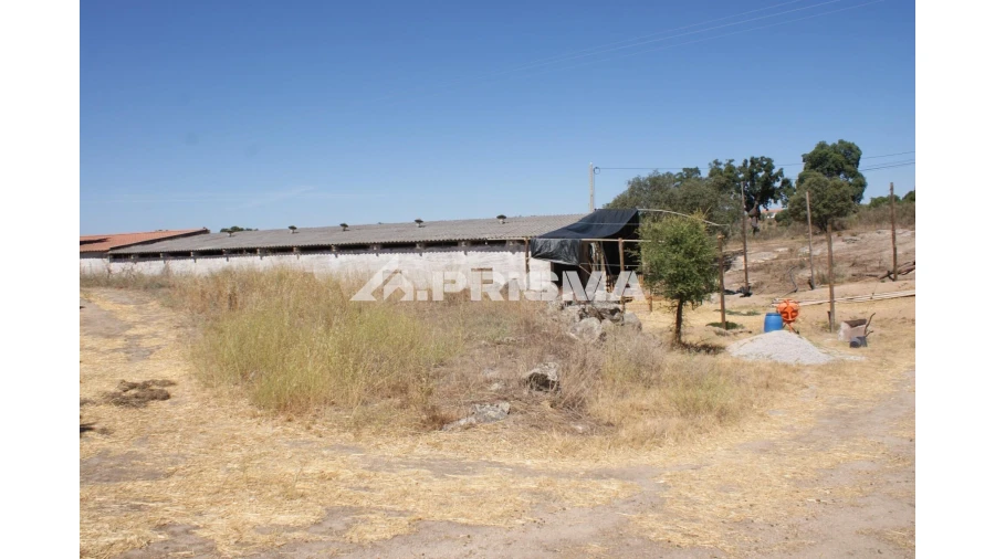 Quinta T6 para Venda em Escalos de Baixo e Mata Foto 57